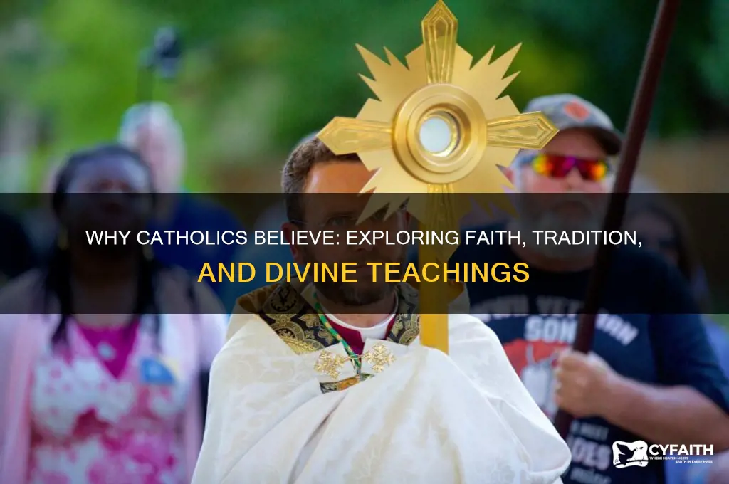 why do catholics bekieve