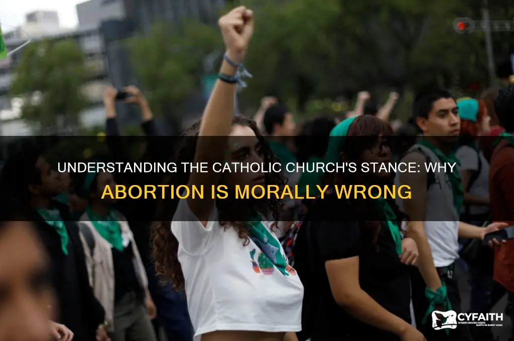 why do catholics belive abortion is wrong