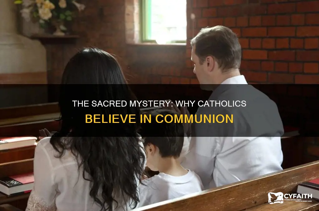why do catholics belive in communion