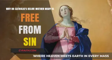 Immaculate Conception: Why Catholics Believe Mary Was Sinless