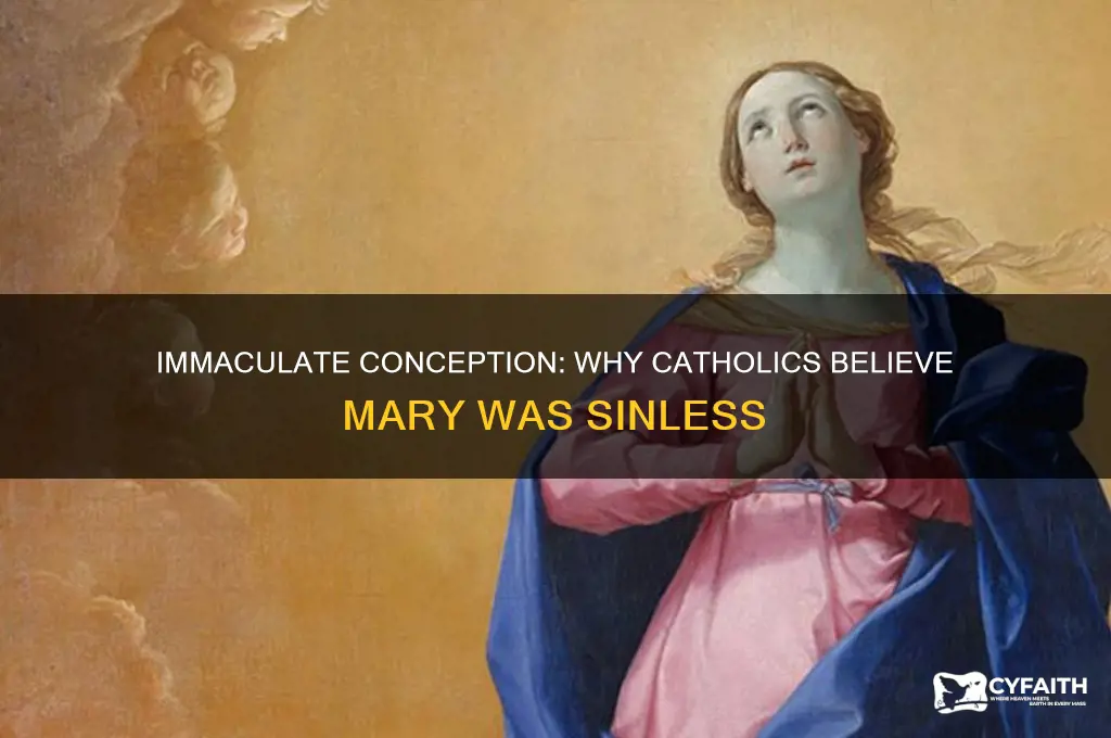 why do catholic
