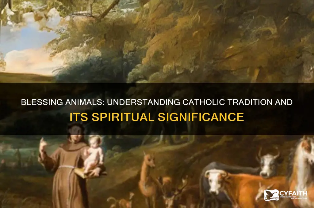 why do catholics bless animals