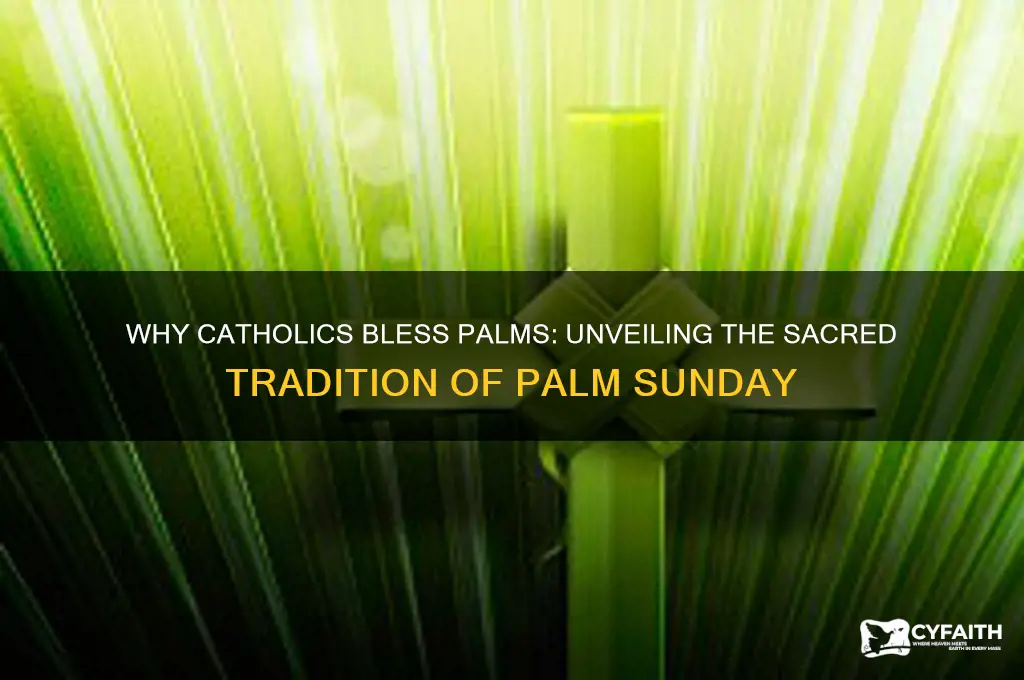 why do catholics bless palms