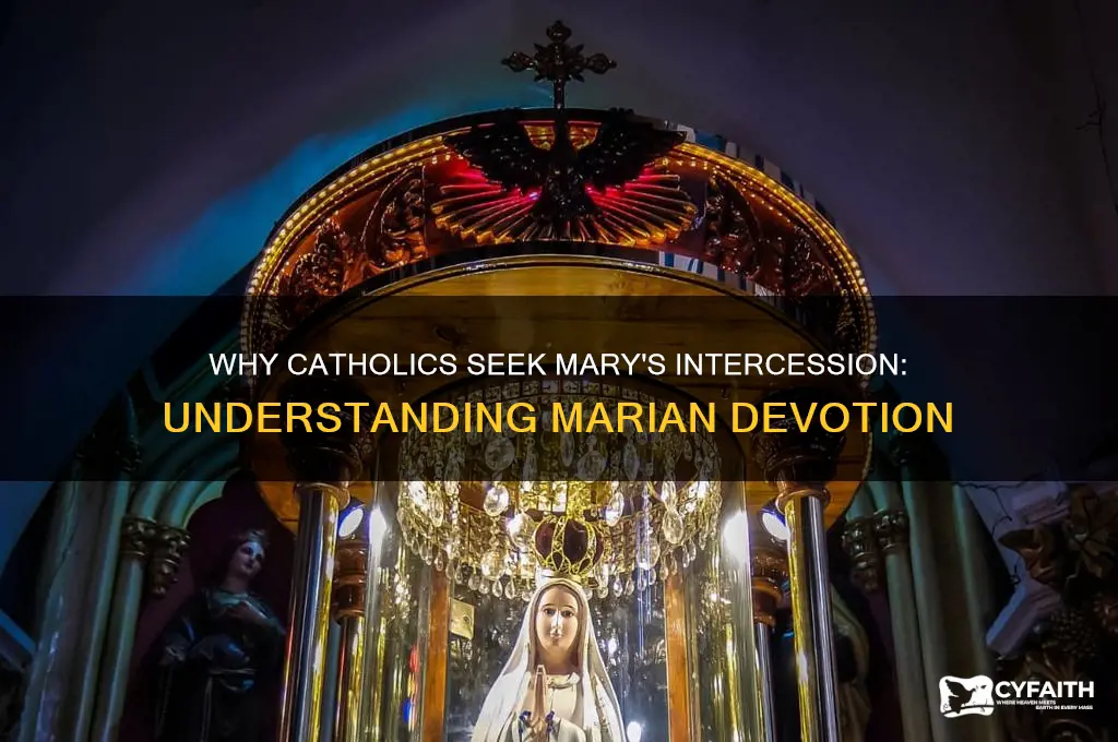 why do catholics bother to ask for prayers to mary