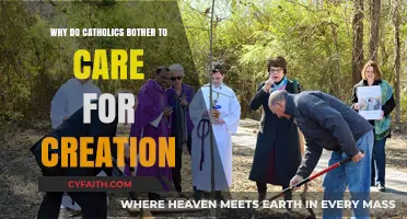 Catholics and Creation Care: Faith, Stewardship, and Environmental Responsibility