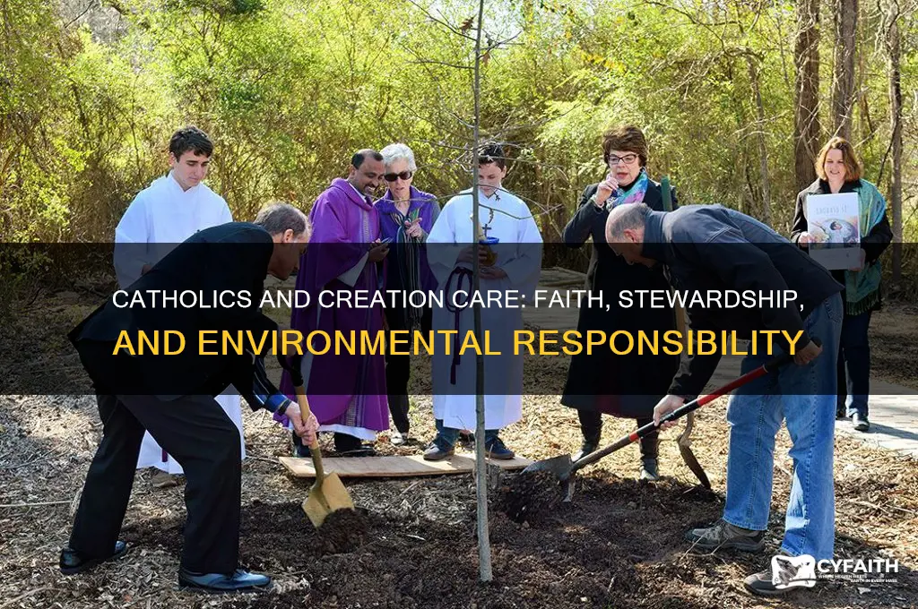 why do catholics bother to care for creation