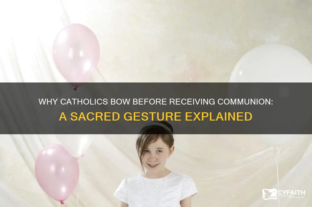 why do catholics bow before receiving communion