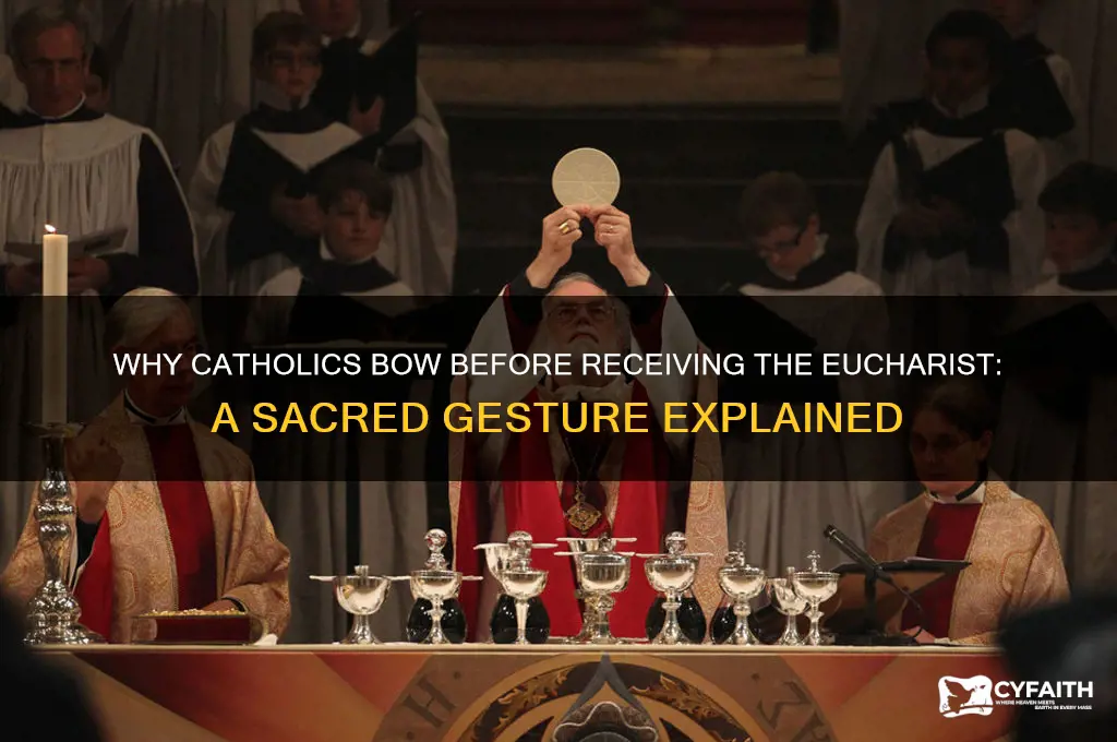 why do catholics bow before receiving the eurcurist