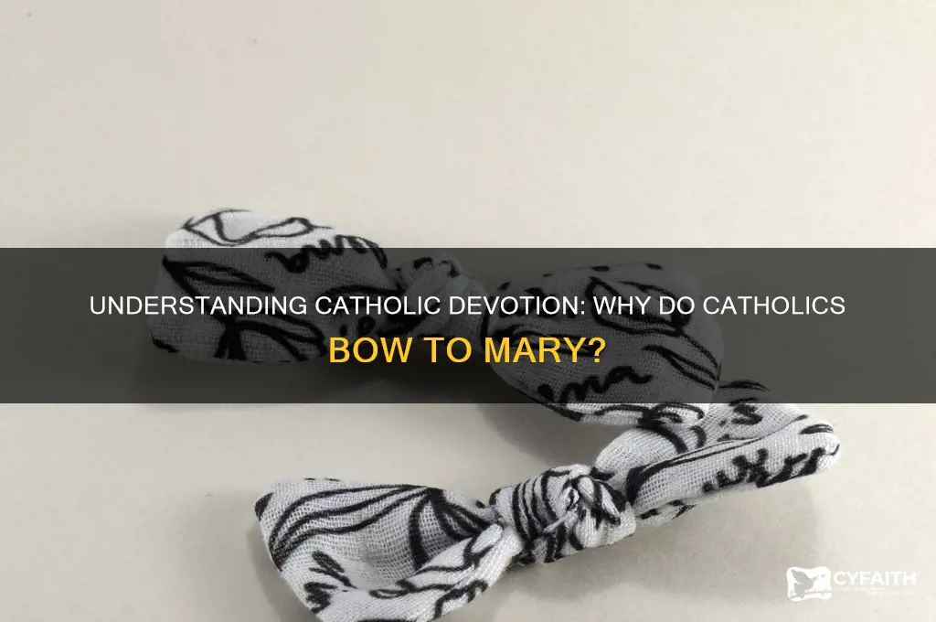why do catholics bow down to mary
