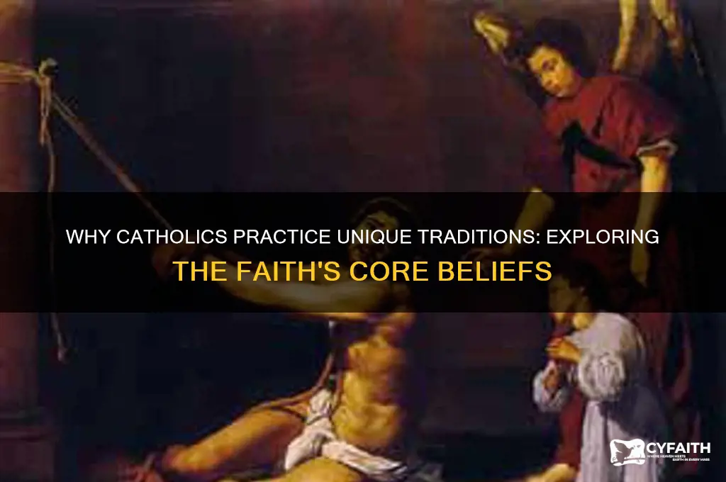 why do catholics c