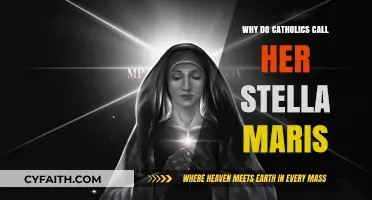 Stella Maris: Understanding the Catholic Devotion to Mary, Star of the Sea