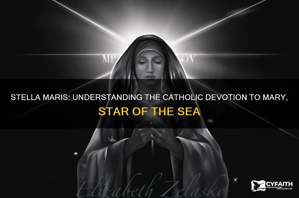 why do catholics call her stella maris