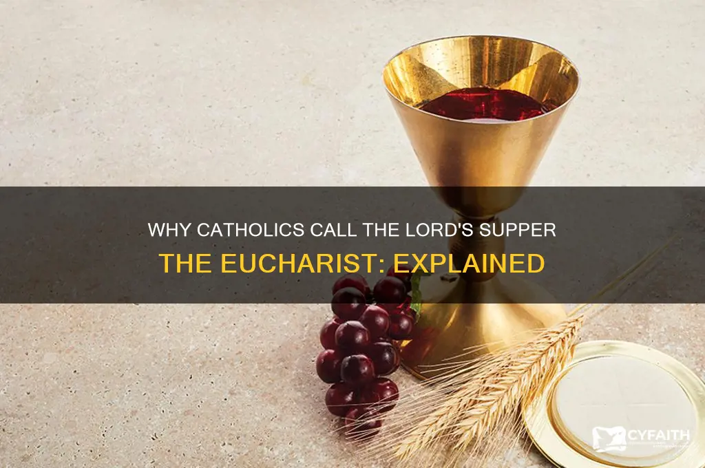 why do catholics call lord