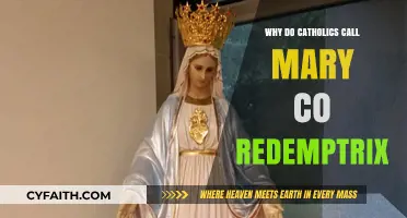 Mary Co-Redemptrix: Understanding Catholic Devotion and Her Role in Salvation