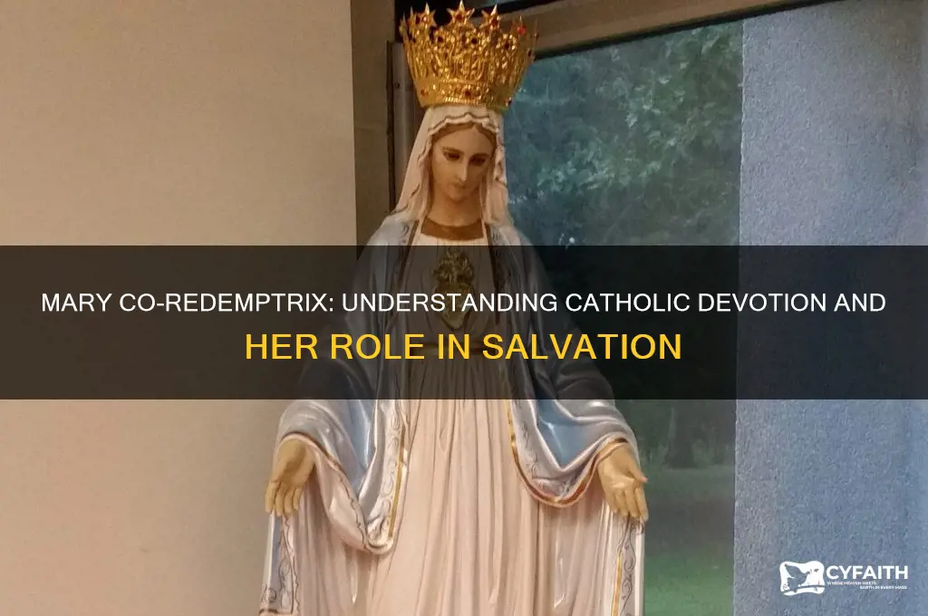 why do catholics call mary co redemptrix