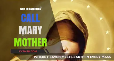 Why Catholics Honor Mary as the Mother of God