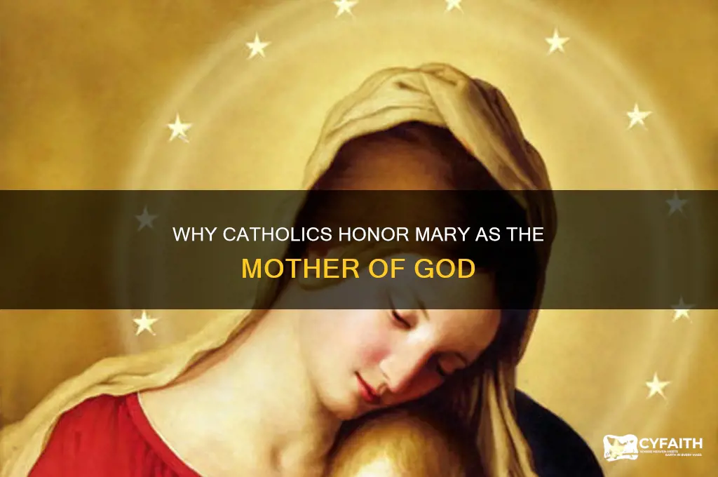 why do catholics call mary mother