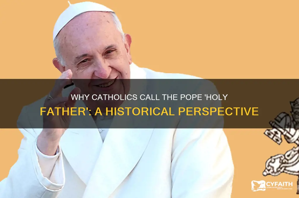 why do catholics call pope holy father