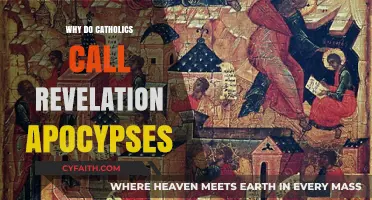 Why Catholics Refer to Revelation as the Apocalypse: Explained