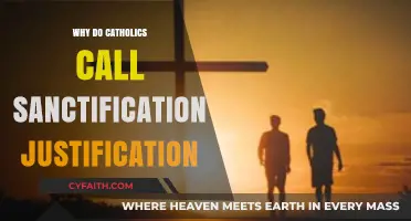 Sanctification vs. Justification: Understanding Catholic Theological Terminology