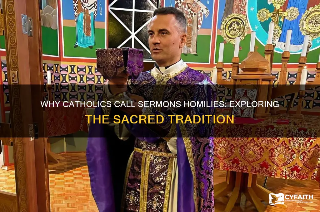 why do catholics call sermons homilies