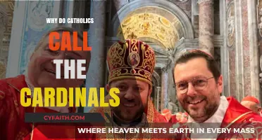 Why Catholics Call Them Cardinals: Exploring the Sacred Tradition