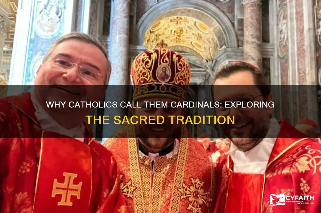 why do catholics call the cardinals