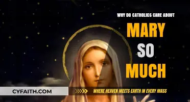 Mary's Role in Catholicism: Understanding Devotion and Significance