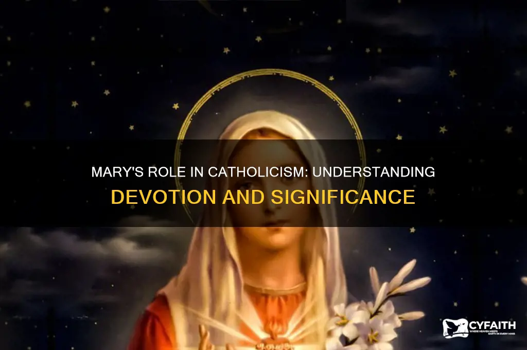 why do catholics care about mary so much