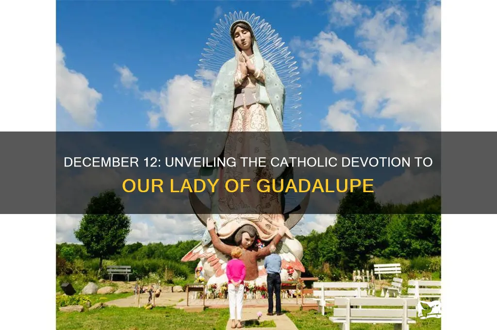 why do catholics celebrate december 12