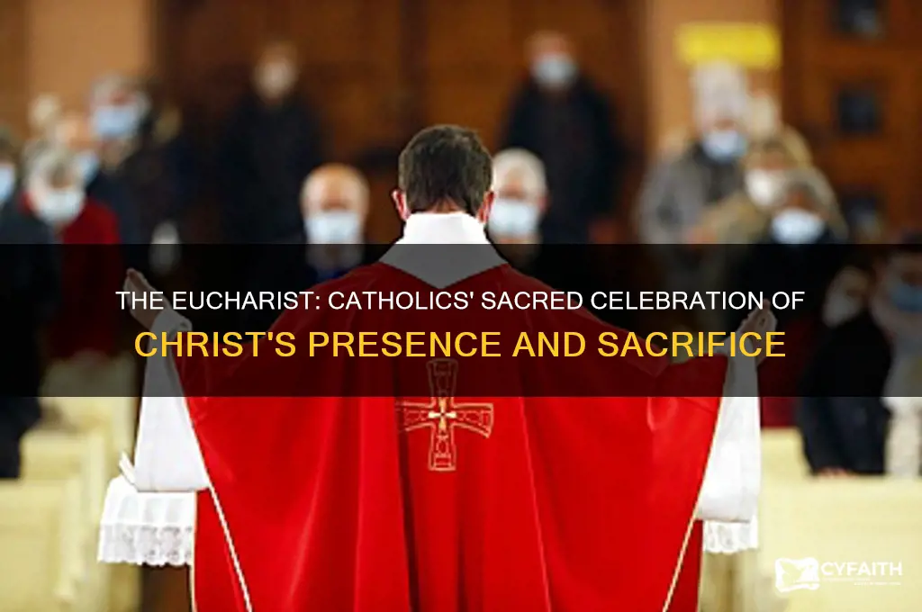 why do catholics celebrate eucharist
