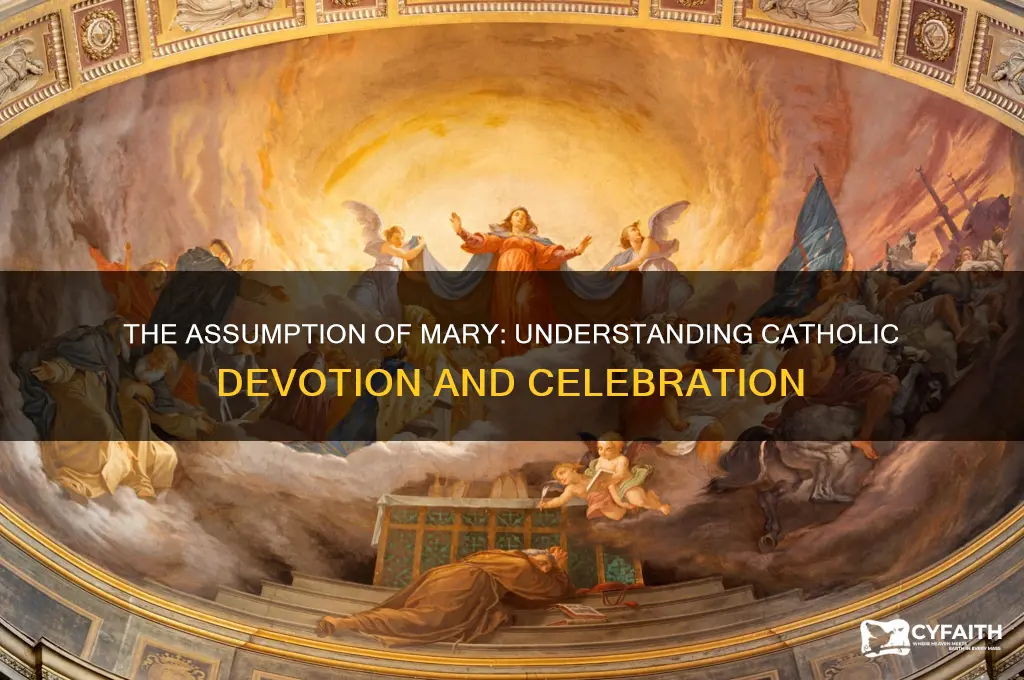why do catholics celebrate the assumption of mary