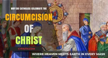 The Circumcision of Christ: A Catholic Tradition Explained