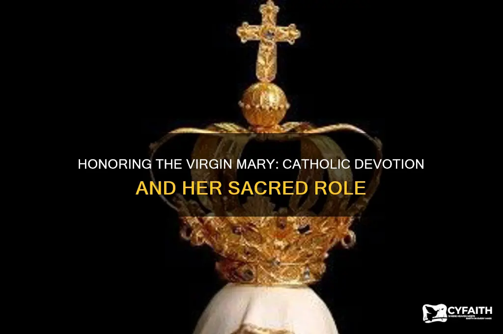 why do catholics celebrate the virgin mary
