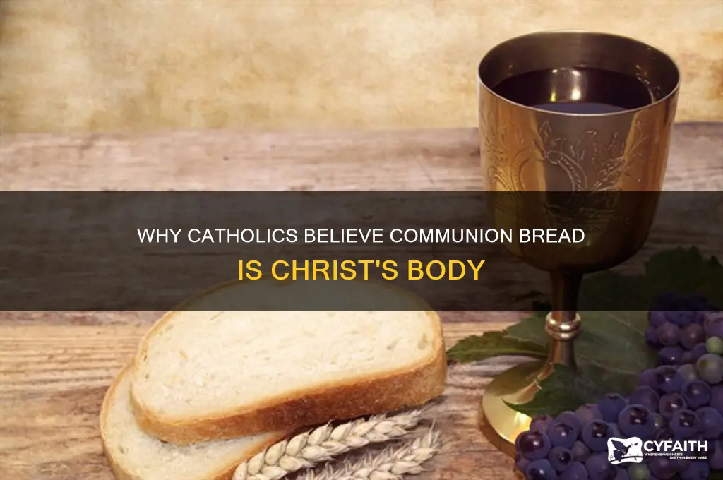 why do catholics consider communion bread the body