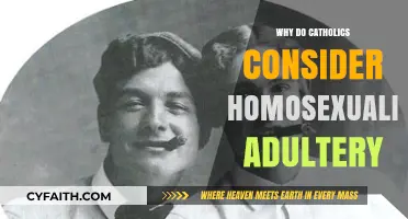 Homosexuality and Adultery: Understanding Catholic Doctrine on Same-Sex Relationships