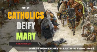 Understanding Catholic Devotion: Why Mary Holds a Divine Place