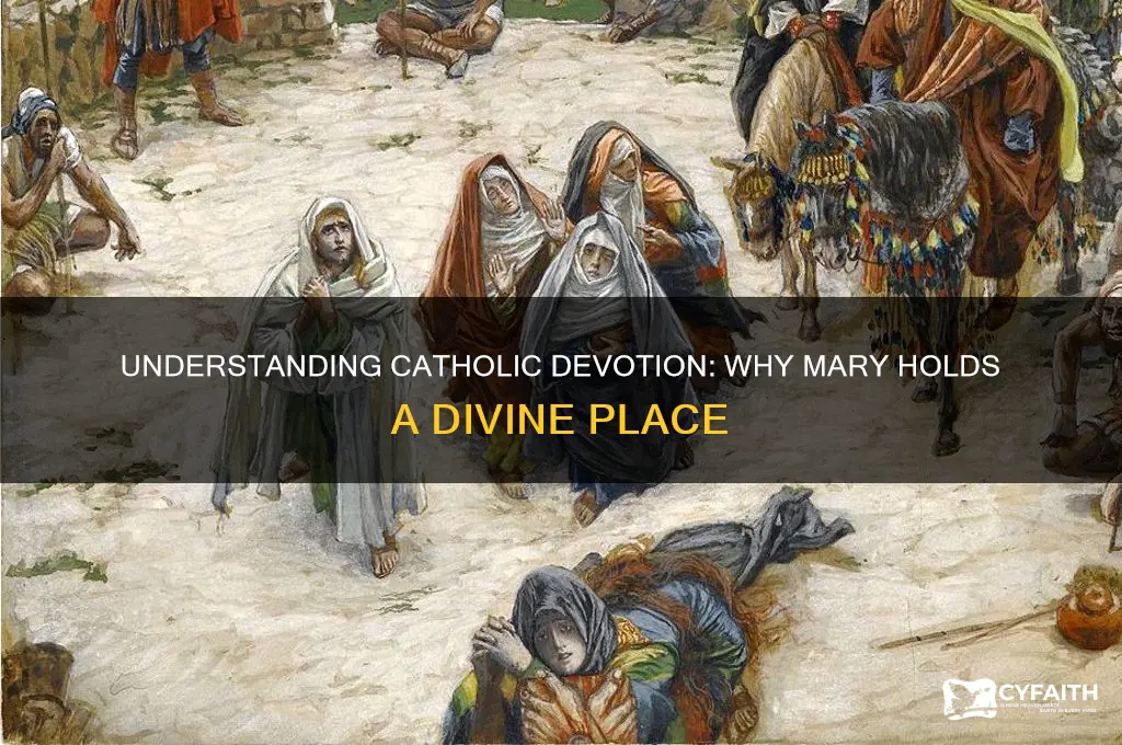 why do catholics deify mary