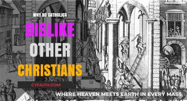 Understanding Catholic-Protestant Tensions: Historical Roots and Modern Misconceptions