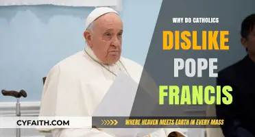 Why Some Catholics Criticize Pope Francis: Exploring the Divide