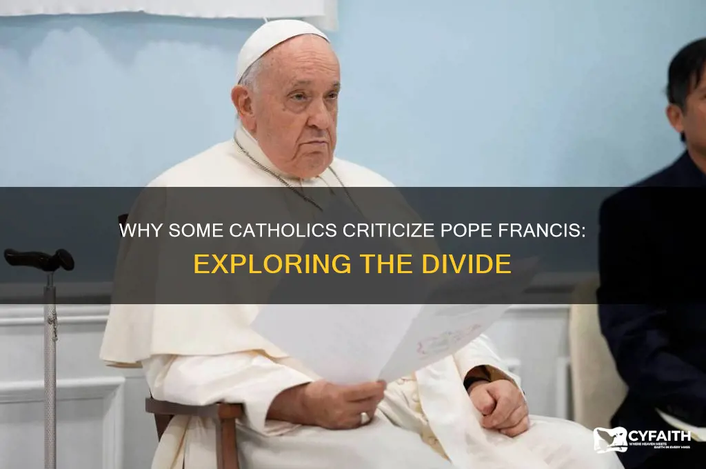 why do catholics dislike pope francis