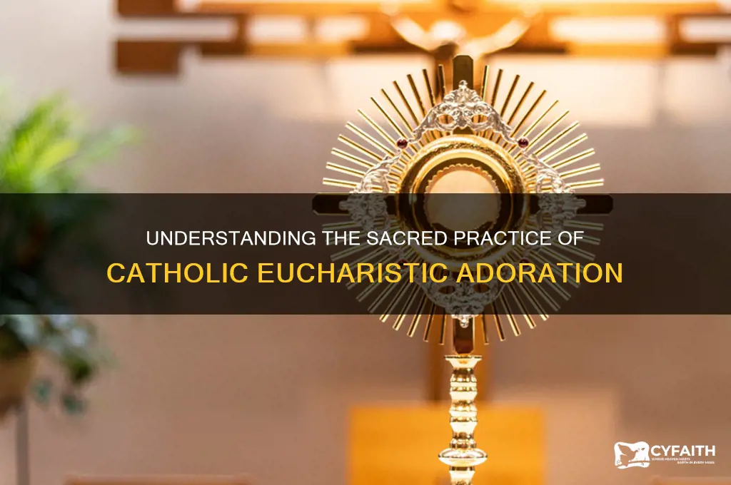 why do catholics do adoration