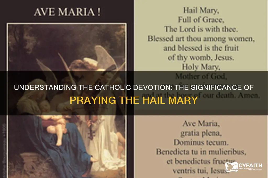 why do catholics do hail marys