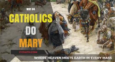 Understanding Catholic Devotion to Mary: Her Role and Significance