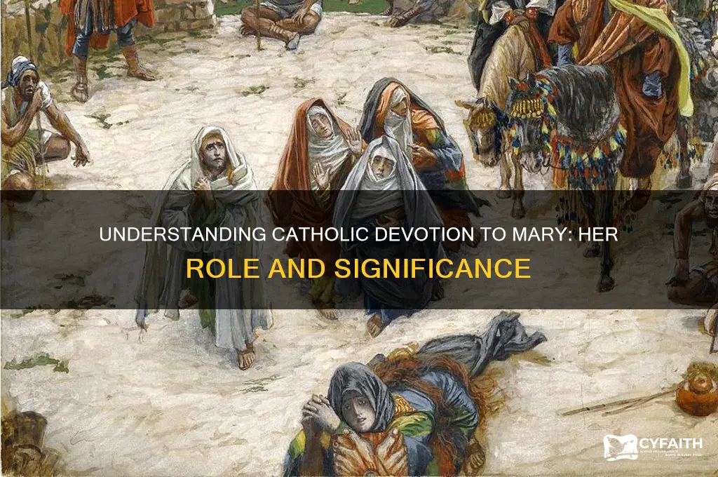 why do catholics do mary