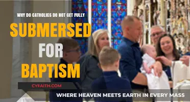 Why Catholics Practice Infant Baptism Without Full Immersion Explained