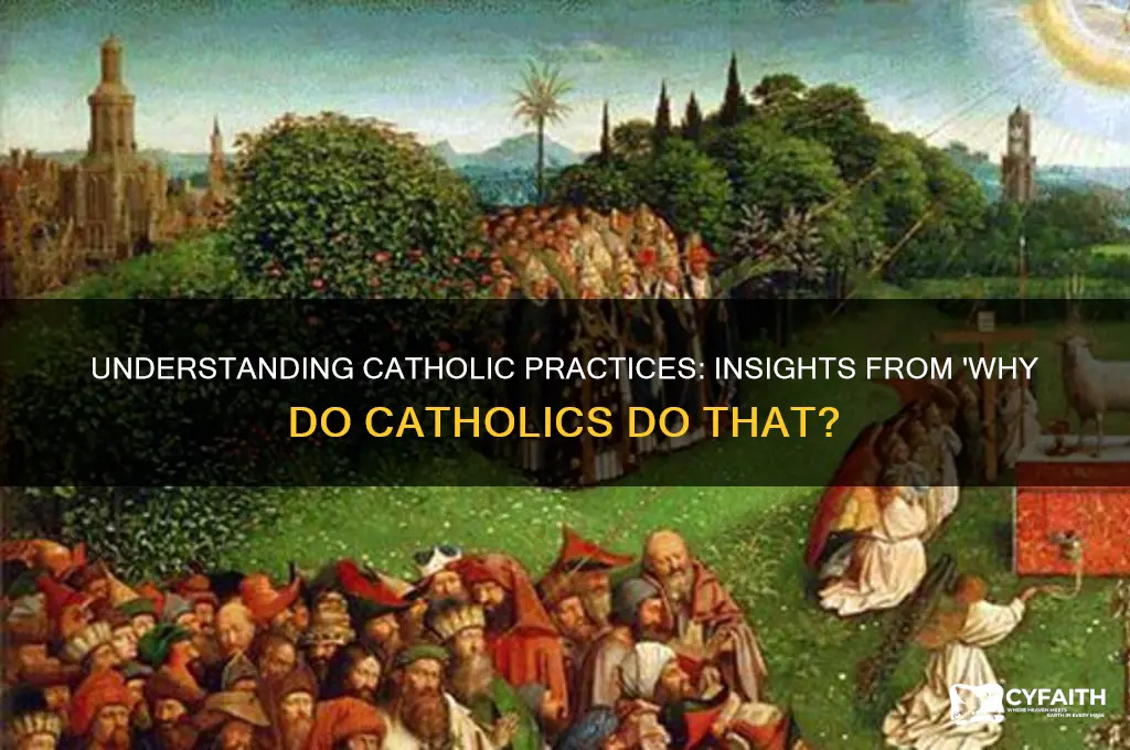 why do catholics do that book