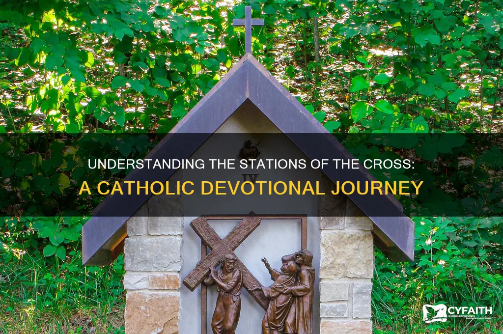 why do catholics do the stations of the cross