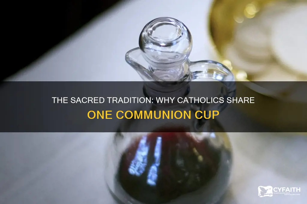 why do catholics drink from one cup