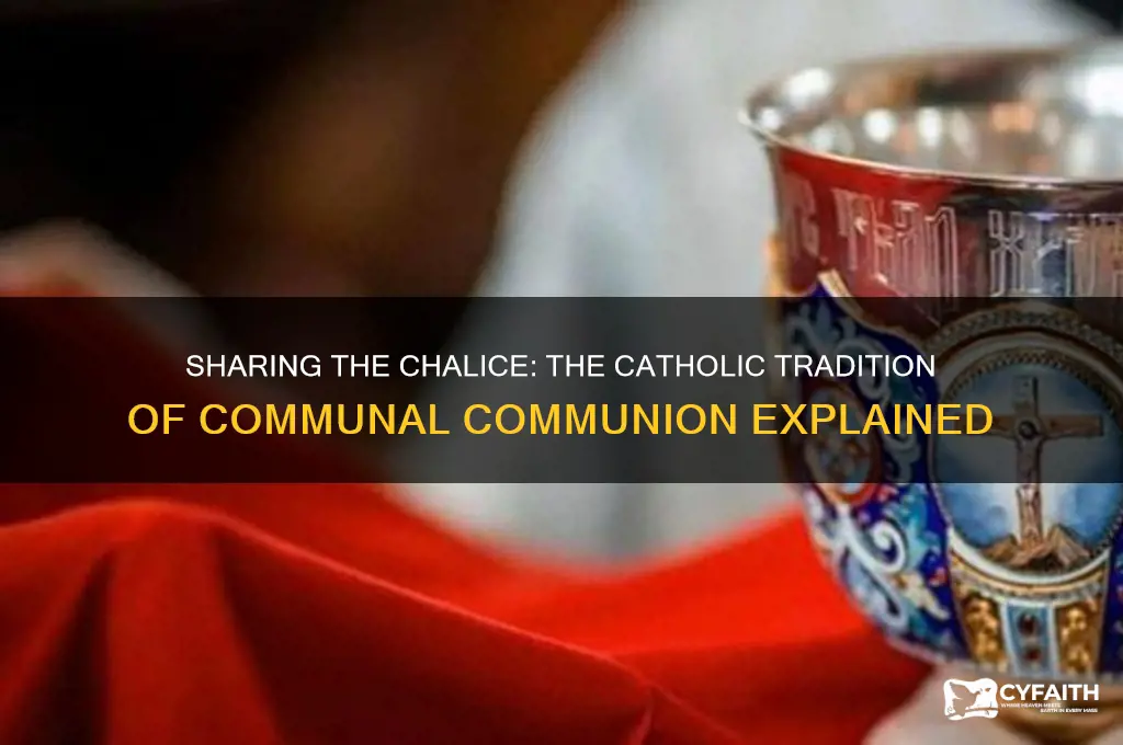 why do catholics drink from the same chalice